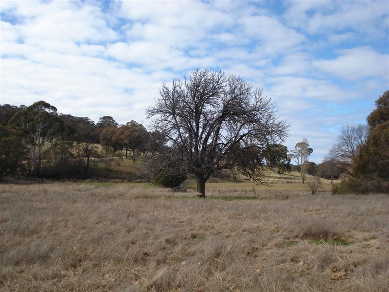 55  Carcoar Street, Neville NSW 2799