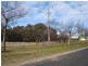 55  Carcoar Street, Neville NSW 2799
