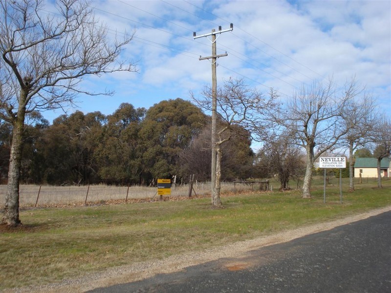 55  Carcoar Street, Neville NSW 2799
