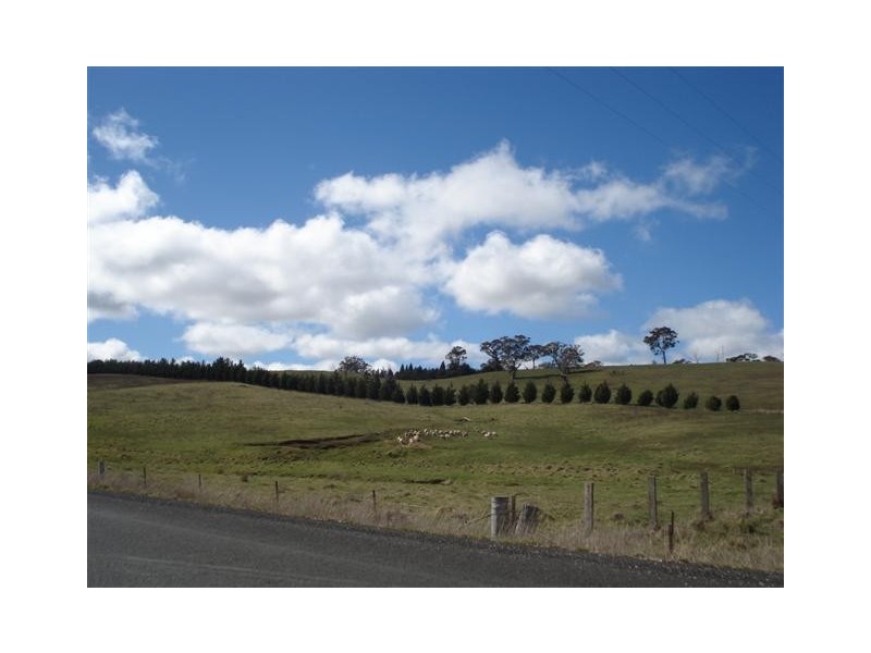 Blayney NSW 2799