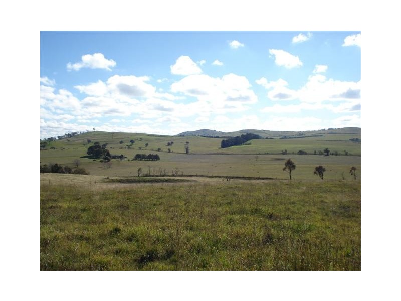 377 Browns Creek Road, Blayney NSW 2799