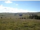 377 Browns Creek Road, Blayney NSW 2799