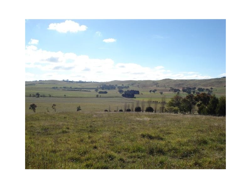 377 Browns Creek Road, Blayney NSW 2799