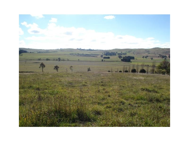 377 Browns Creek Road, Blayney NSW 2799