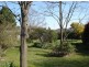 Blayney NSW 2799