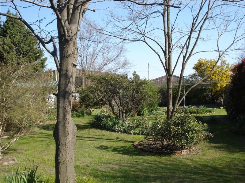 Blayney NSW 2799