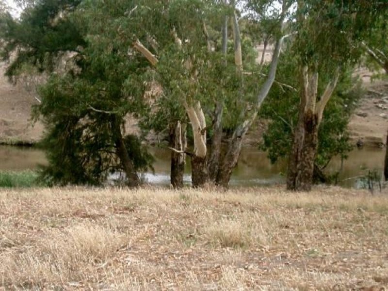 104 Gobolion Street, Wellington NSW 2820