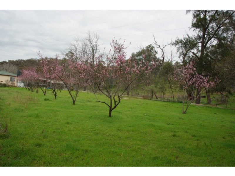 496 Mookerawa Road Mookerawa via, Wellington NSW 2820