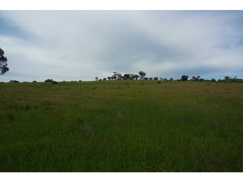 141 WALLAROI ROAD, Stuart Town NSW 2820