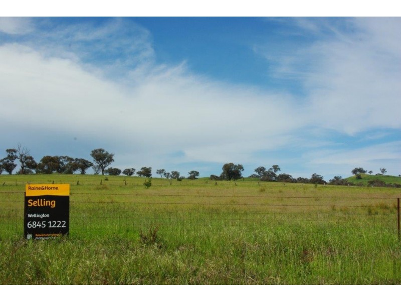 141 Wallaroi Road Stuart Town via, Wellington NSW 2820