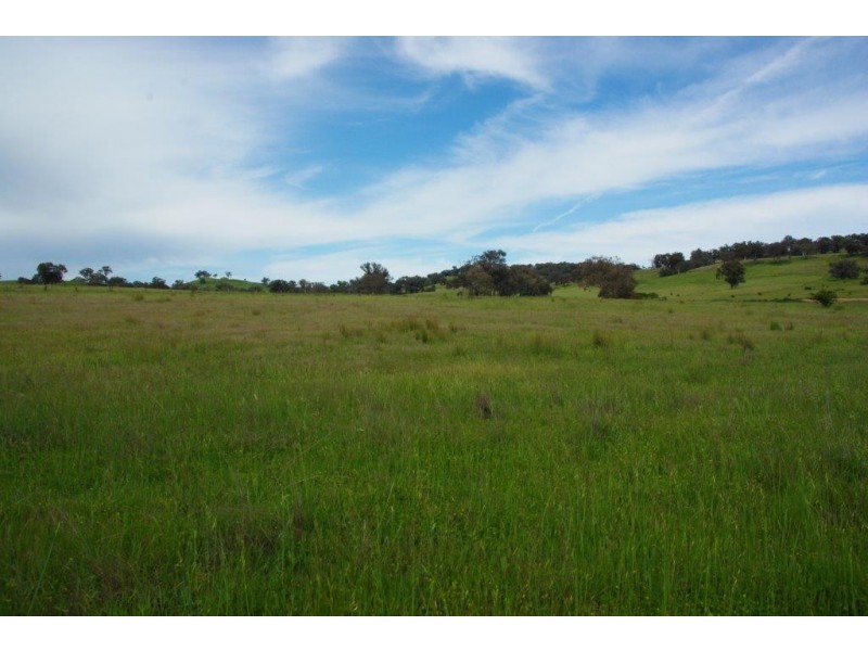 141 Wallaroi Road Stuart Town via, Wellington NSW 2820