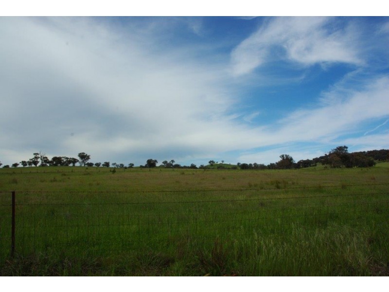 141 Wallaroi Road Stuart Town via, Wellington NSW 2820