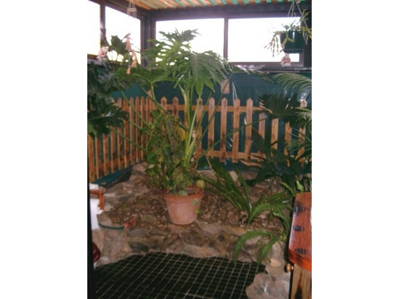 24 Wellington Street Stuart Town via, Wellington NSW 2820