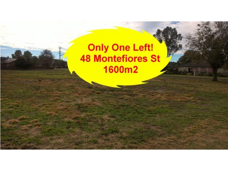 48 Montefiores Street, Wellington NSW 2820