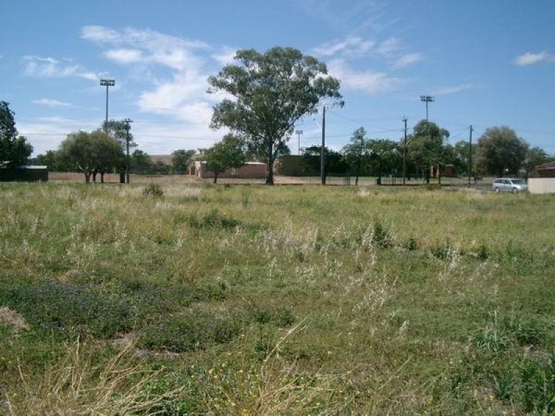 133 Simpson Street, Wellington NSW 2820