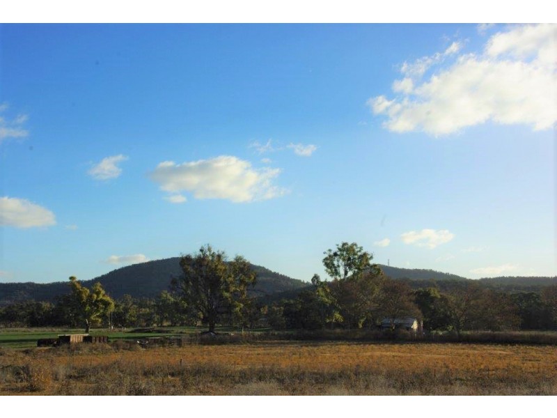 161 Percy Street, Wellington NSW 2820