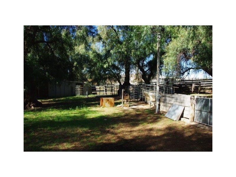 23 TOLGA WAY, Mumbil NSW 2820