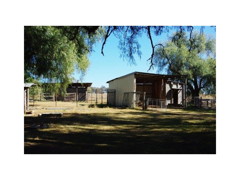 23 TOLGA WAY, Mumbil NSW 2820