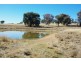 23 TOLGA WAY, Mumbil NSW 2820