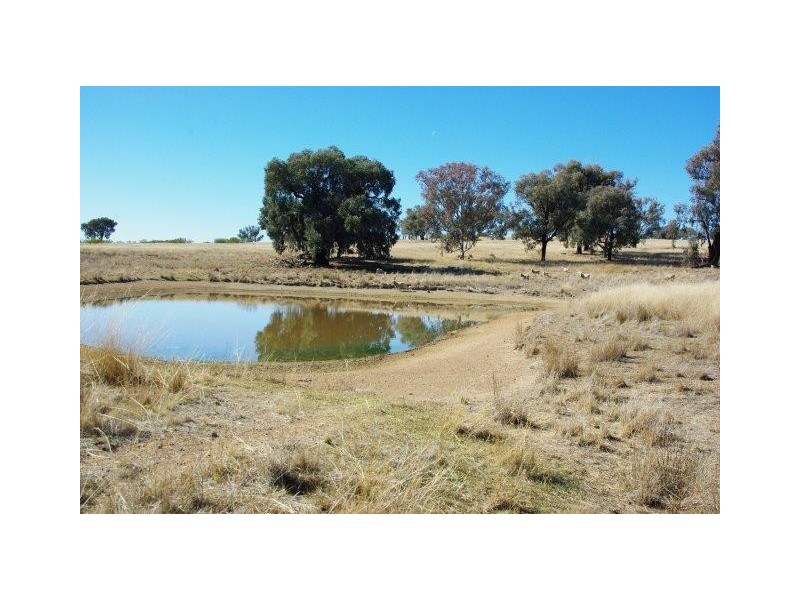 23 TOLGA WAY, Mumbil NSW 2820