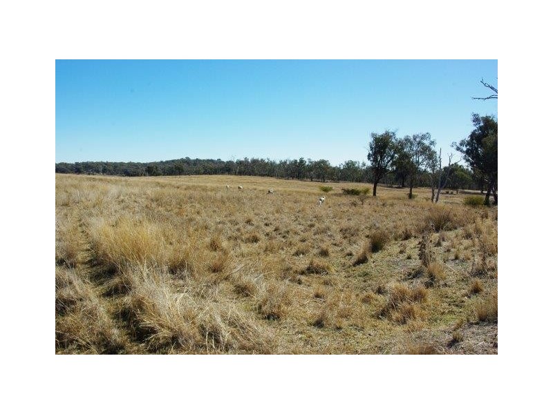 23 TOLGA WAY, Mumbil NSW 2820