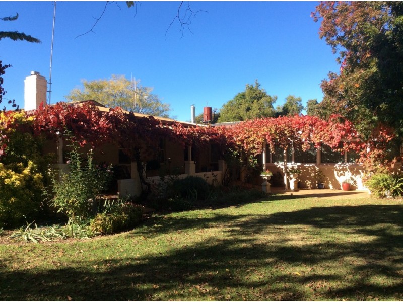 246 Gowan Green Road, Bakers Swamp NSW 2820