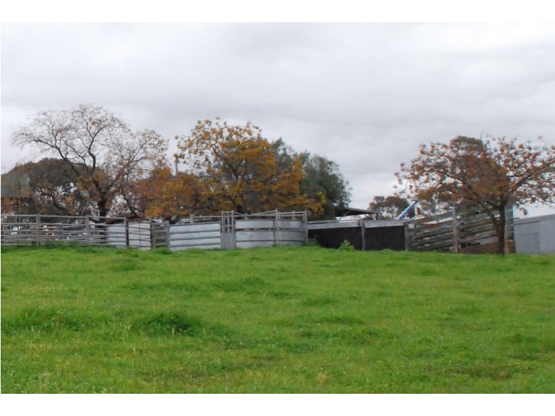 246 Gowan Green Road, Bakers Swamp NSW 2820