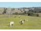 246 Gowan Green Road, Bakers Swamp NSW 2820