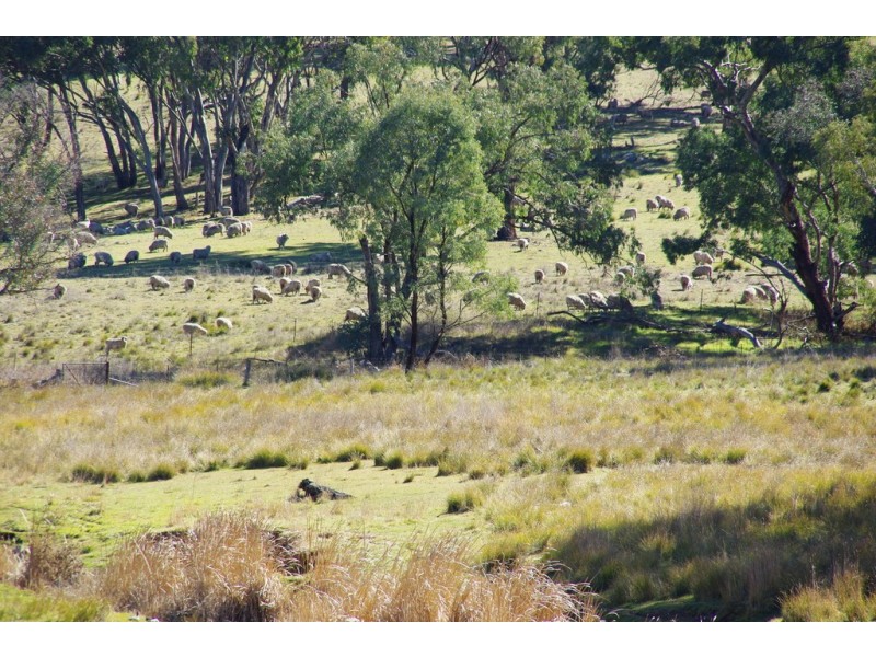246 Gowan Green Road, Bakers Swamp NSW 2820