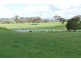 246 Gowan Green Road, Bakers Swamp NSW 2820