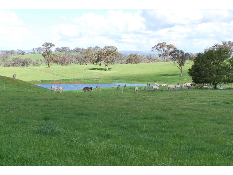 246 Gowan Green Road, Bakers Swamp NSW 2820