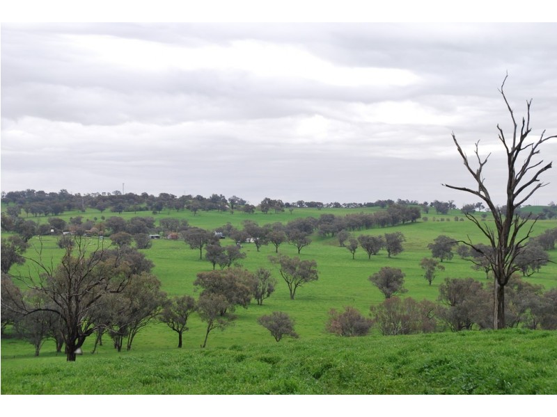 246 Gowan Green Road, Bakers Swamp NSW 2820