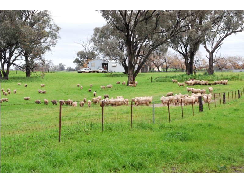 246 Gowan Green Road, Bakers Swamp NSW 2820