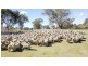 246 Gowan Green Road, Bakers Swamp NSW 2820