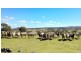 246 Gowan Green Road, Bakers Swamp NSW 2820