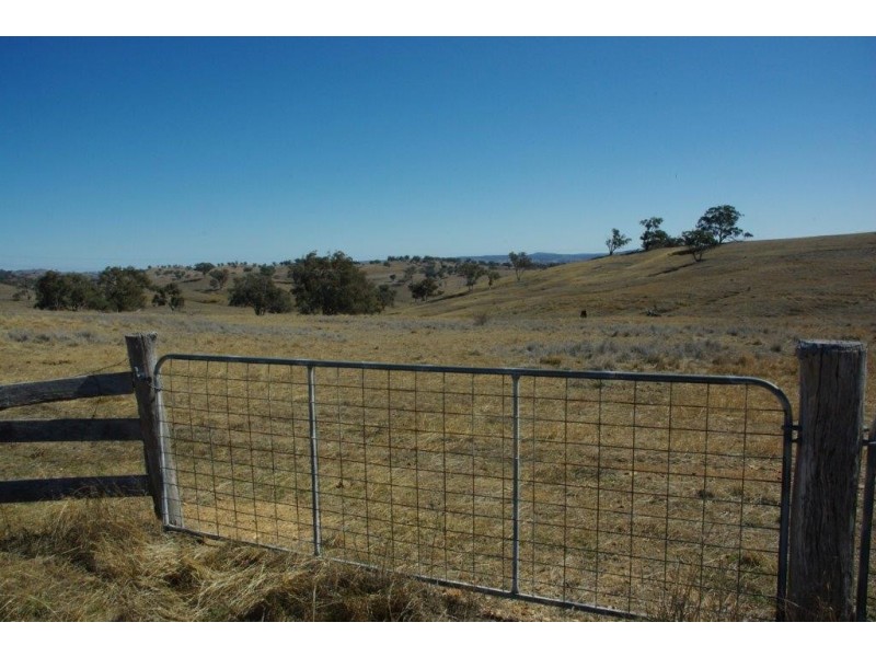 178 Tarrawingee Road, Mumbil NSW 2820