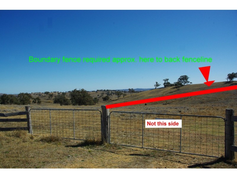 178 Tarrawingee Road, Mumbil NSW 2820