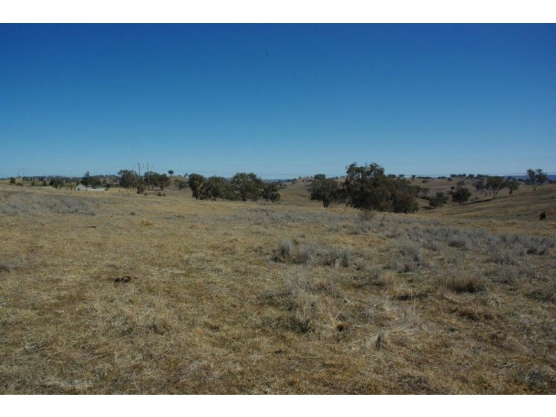 178 Tarrawingee Road, Mumbil NSW 2820