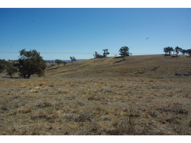 178 Tarrawingee Road, Mumbil NSW 2820