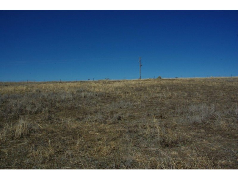 178 Tarrawingee Road, Mumbil NSW 2820