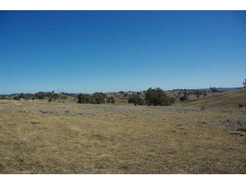 178 Tarrawingee Road, Mumbil NSW 2820