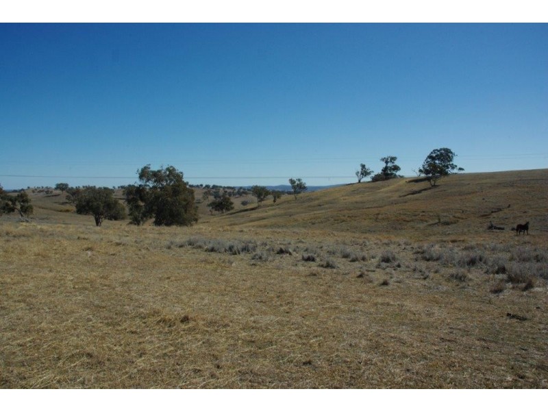 178 Tarrawingee Road, Mumbil NSW 2820