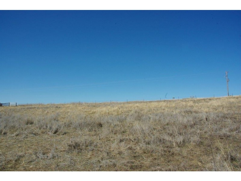 178 Tarrawingee Road, Mumbil NSW 2820