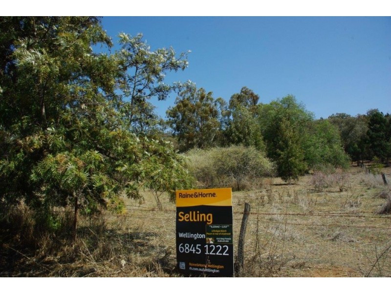 46 Oxley Avenue, Wellington NSW 2820