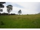 141 Wallaroi Road Stuart Town via, Wellington NSW 2820