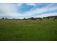 141 Wallaroi Road Stuart Town via, Wellington NSW 2820