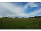 141 Wallaroi Road Stuart Town via, Wellington NSW 2820