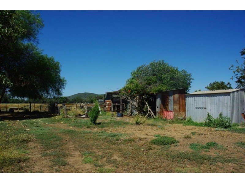 216 Percy Street, Wellington NSW 2820