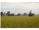 Suntop NSW 2820