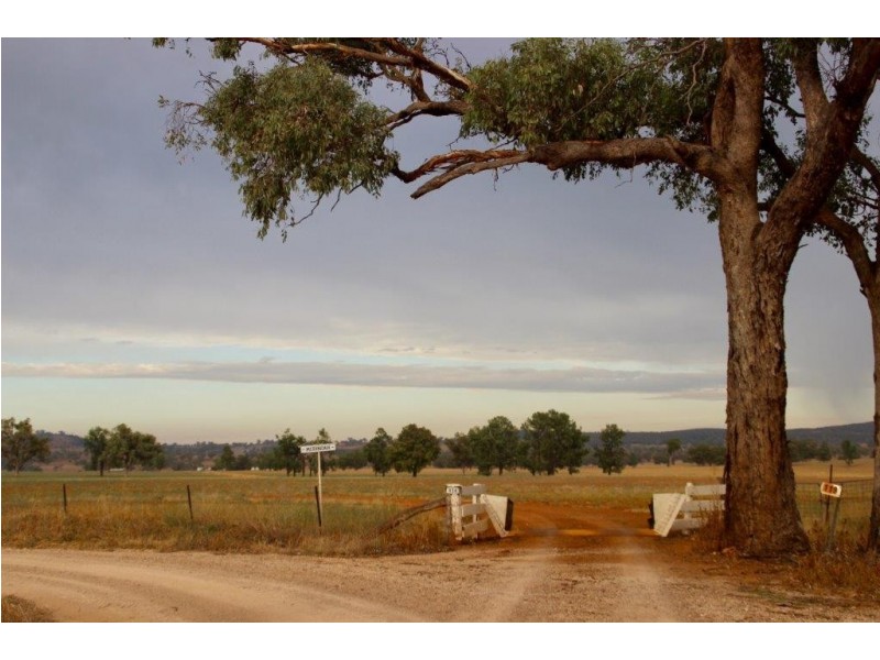 Suntop NSW 2820